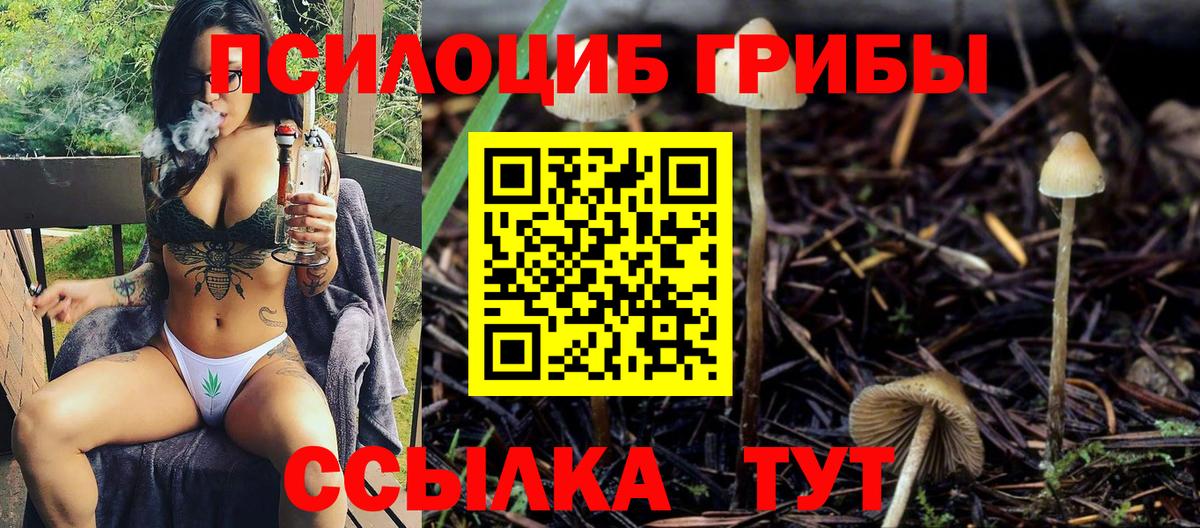 Галлюциногенные грибы MAGIC MUSHROOMS Кемерово