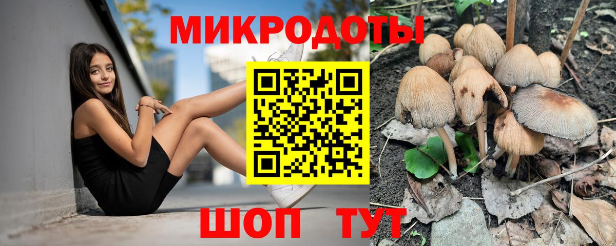 Псилоцибиновые грибы Psilocybine cubensis  Вход с VPN  Псилоцибиновые грибы мухоморы  Кемерово 